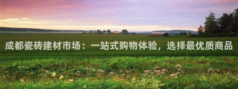 杏鑫平台怎么样