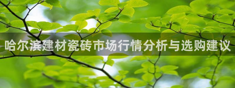 杏鑫招商总代