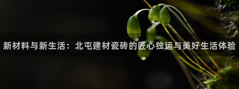 杏鑫平台提供