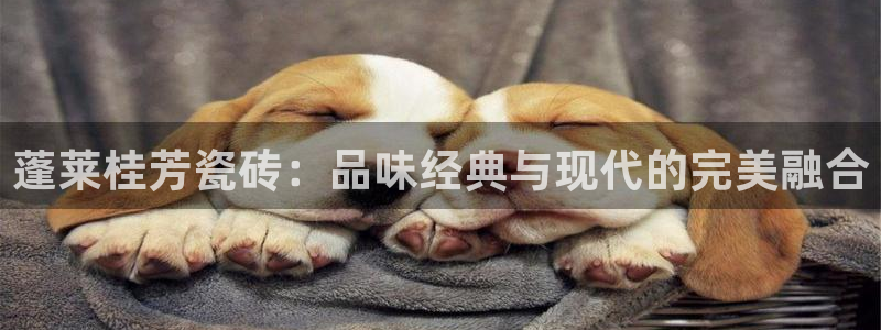 杏鑫娱乐平台