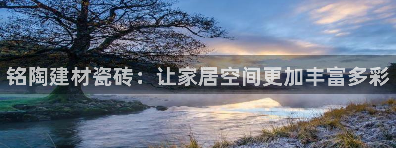 杏鑫平台在线注册流程