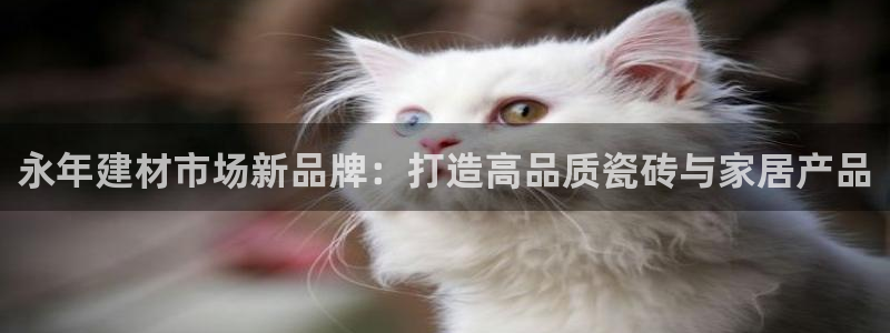 杏鑫平台招商怎么样啊