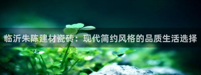 杏鑫官方平台怎么样啊可靠吗