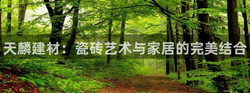 杏鑫平台代理怎么样啊