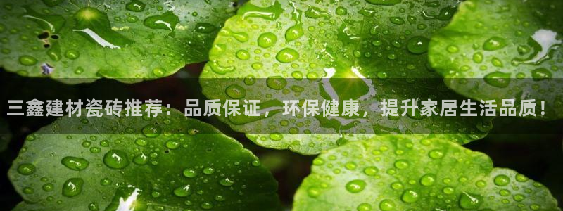 杏鑫平台招商电话是多少