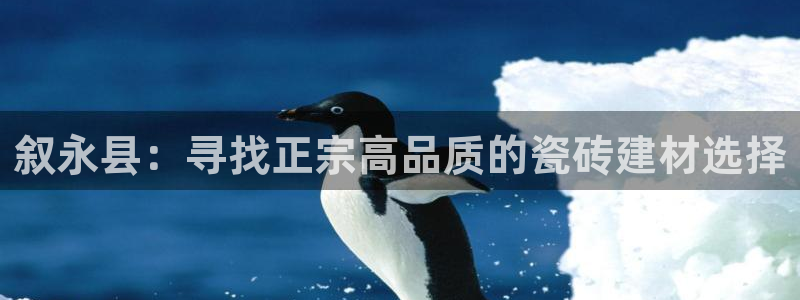 杏鑫手机客户端