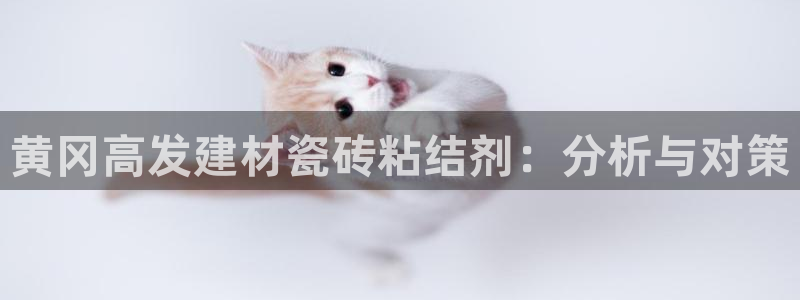 杏鑫娱乐多少年了