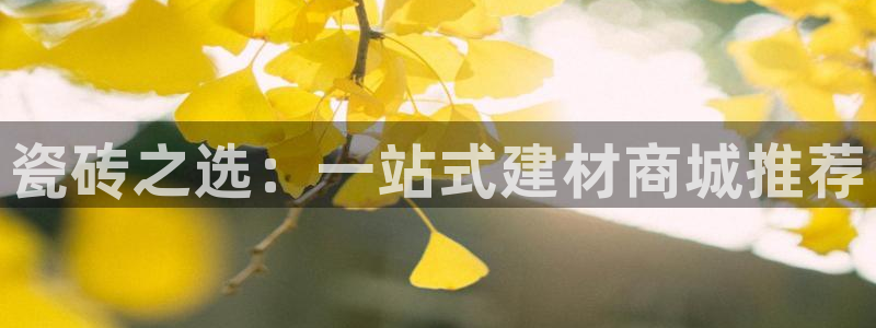 杏鑫平台正规吗
