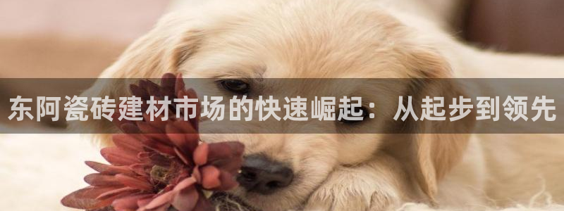 杏鑫平台是黑平台吗是真的吗