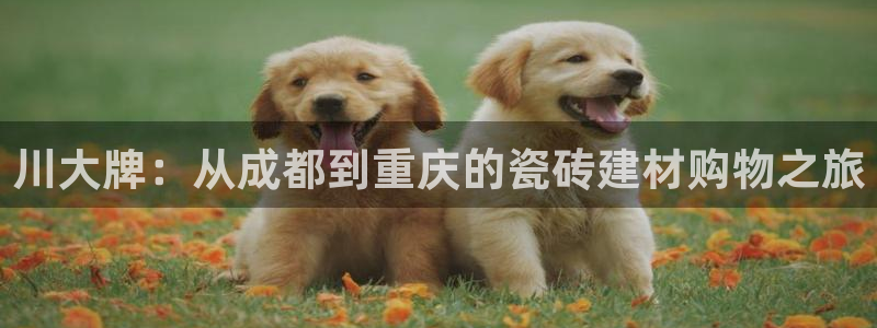 杏鑫平台线路测速
