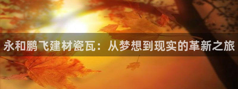 杏鑫平台代理怎么样啊
