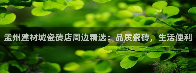 杏鑫平台直属