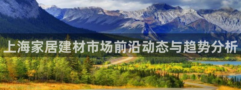 杏鑫代理注册资金多少