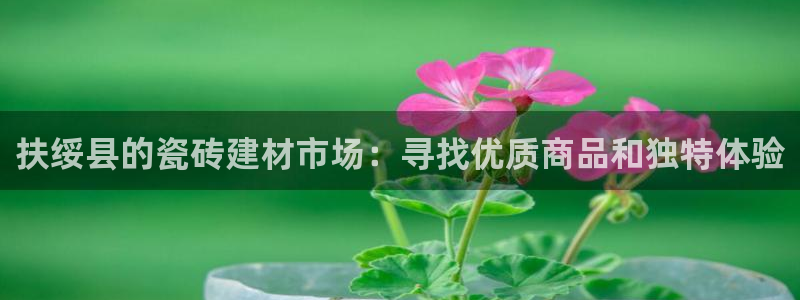 杏鑫官方平台怎么样啊