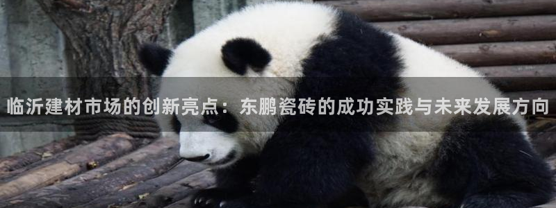 杏鑫平台代理怎么做的