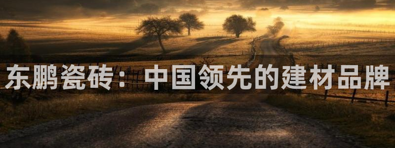 杏鑫手机客户端怎么下载