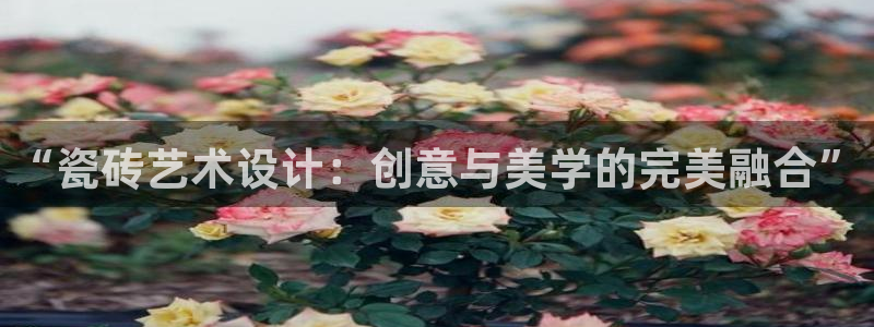 杏鑫平台是黑平台吗