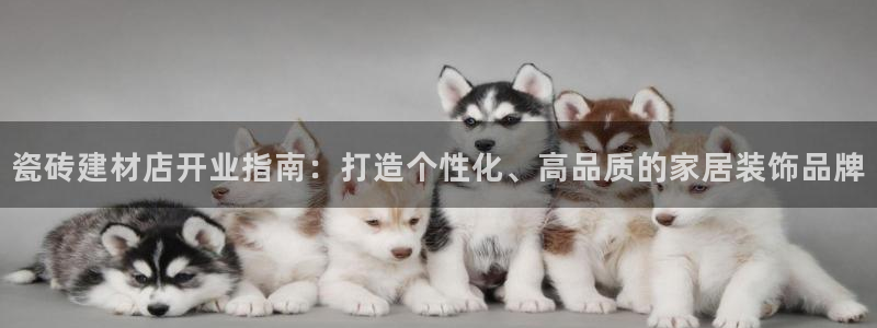 杏鑫平台招商电话是多少