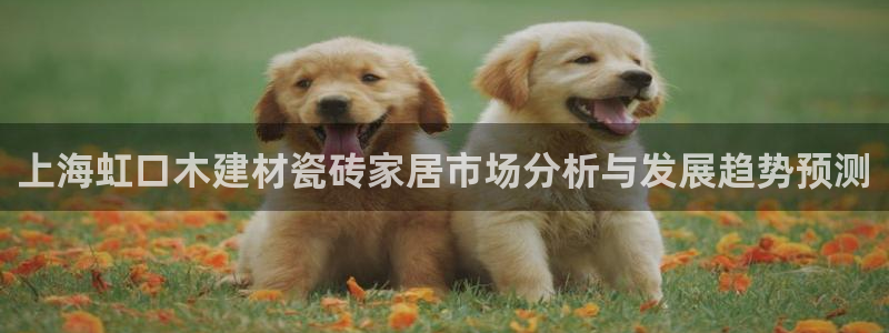 杏鑫平台号7O777