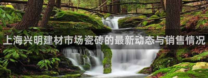 杏鑫官方平台怎么样啊
