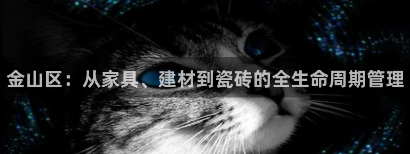 杏鑫平台代理注册流程及费用