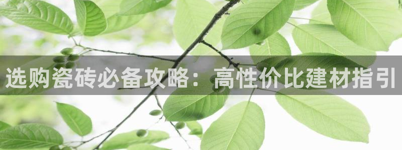 杏鑫官方平台怎么样啊知乎