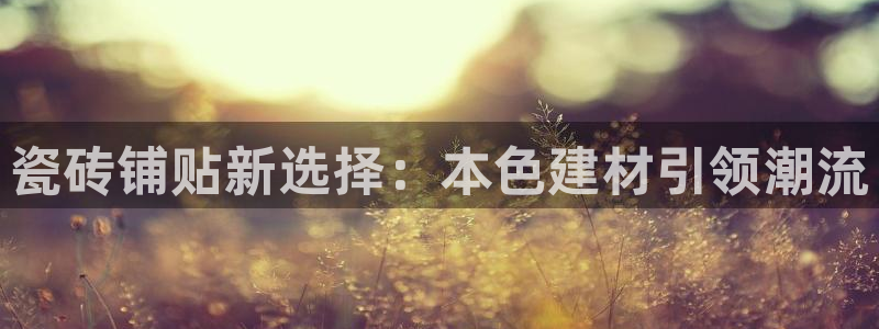 杏鑫官网注册账号是什么样的