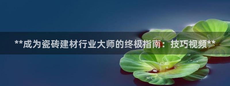 杏鑫代理注册平台