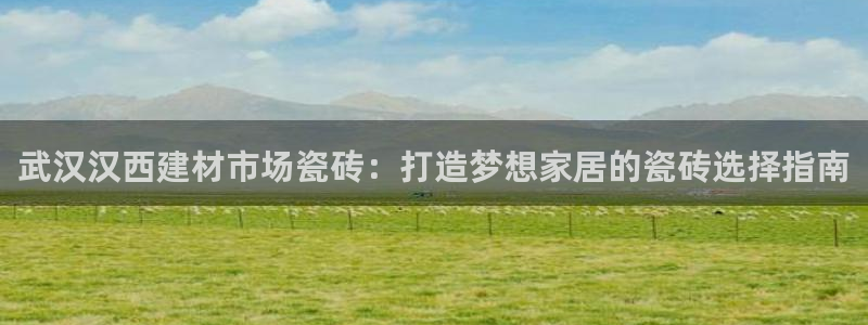 杏鑫代理注册资金多少