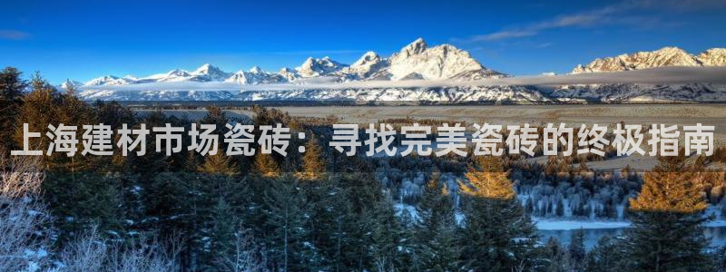 杏鑫平台注册网址是什么