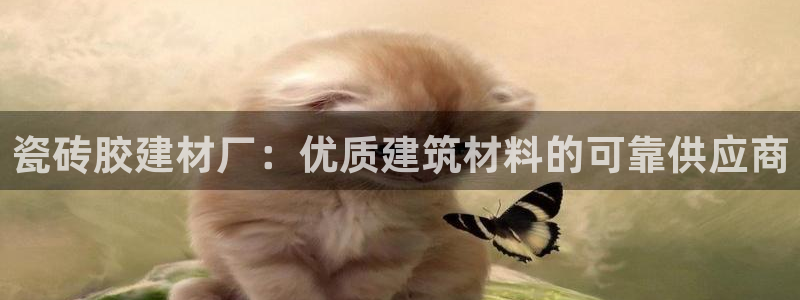 杏鑫平台代理注册多少钱