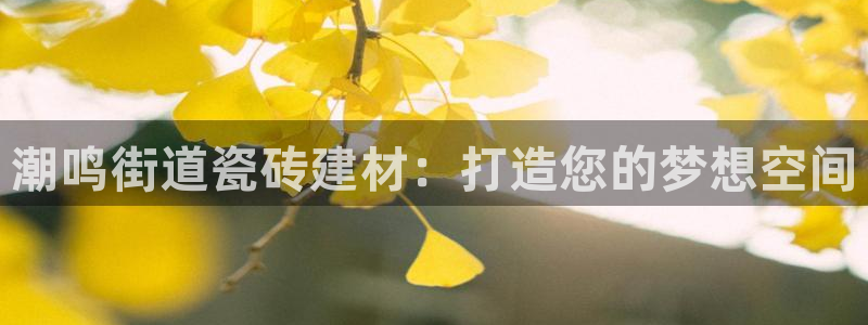 杏鑫平台代理注册流程及费用