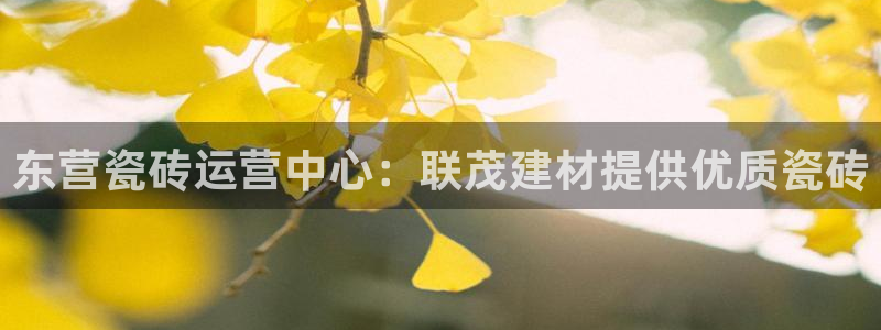 杏鑫娱乐官网登录不了