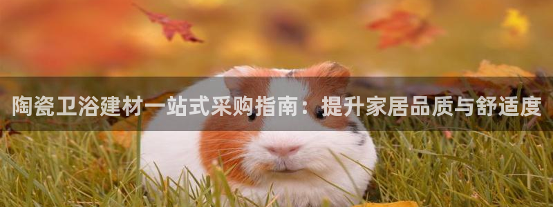 杏鑫平台注册地址