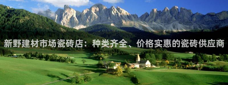 杏鑫平台代理注册流程