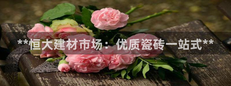 杏鑫代理注册平台