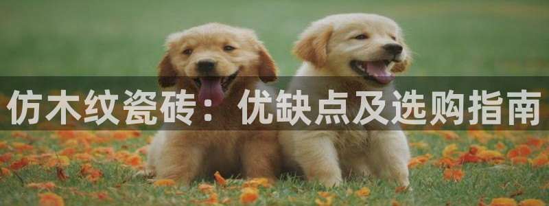 杏鑫注册平台官方网站下载