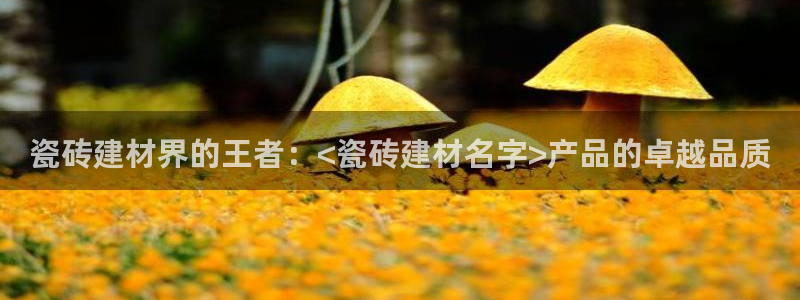 杏鑫注册登录代理