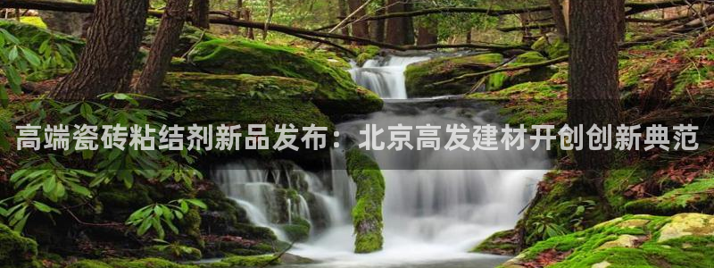 杏鑫平台代理注册流程