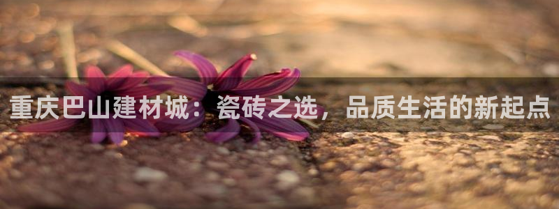 杏鑫平台代理注册流程视频