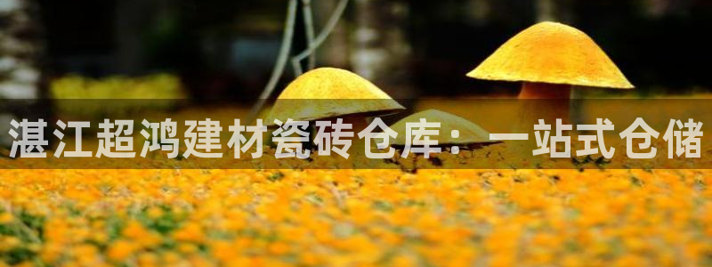 杏鑫官网注册账号怎么注册不了