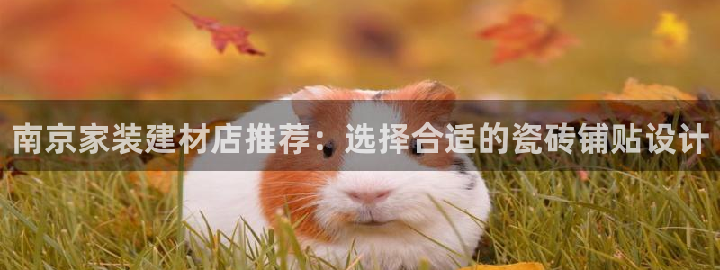 杏鑫官网注册账号密码