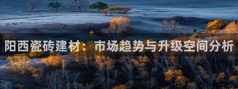 杏鑫平台注册网址是什么