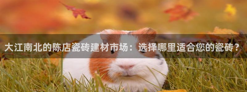 杏鑫注册登录代理