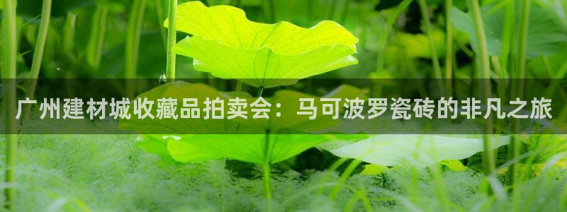 杏鑫平台代理注册登录不了怎么办呀苹果