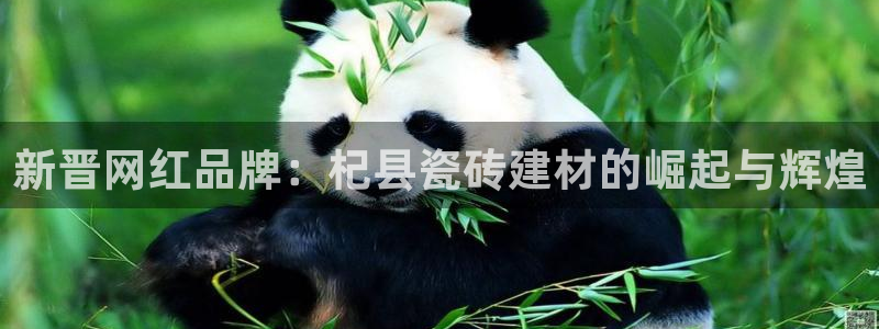 杏鑫代理注册登录