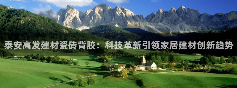 杏鑫平台注册网址查询