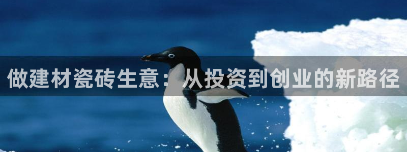 杏鑫平台代理注册多少钱啊