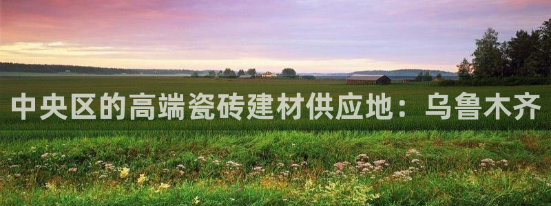 杏鑫平台代理注册流程