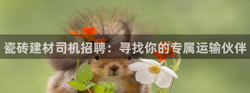 杏鑫注册平台官方网站入口